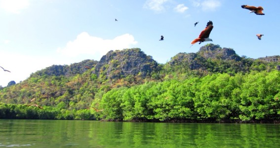 Langkawi Private UNESCO Geopark Cruise
